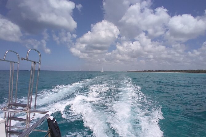 Saona Island Deluxe With Private Transfer (Min 8 People) - Health and Safety Guidelines
