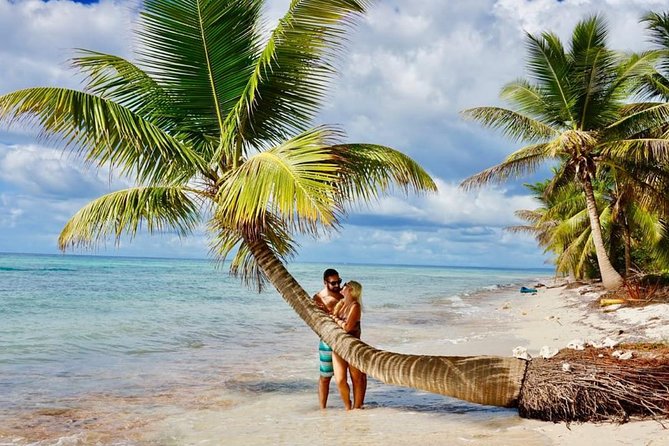 Saona Island Discovery - Savor the Beachside Buffet Lunch