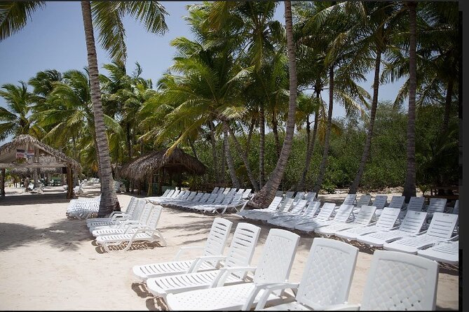 Saona Island Discovery - Accessibility and Health Considerations