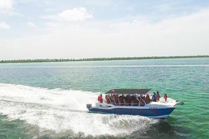 Saona Island Discovery - Customer Feedback and Insights