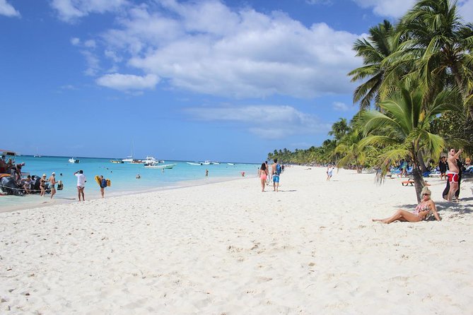Saona Island Excursion From Bayahibe - Inclusions and Pricing