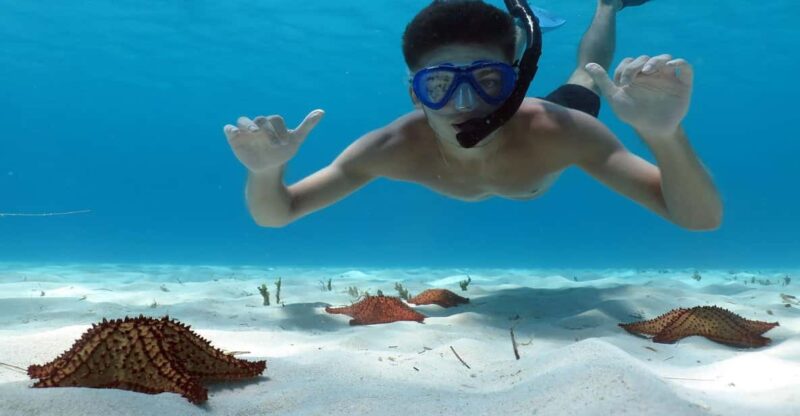 Saona Island Excursion From Punta Cana - Key Points