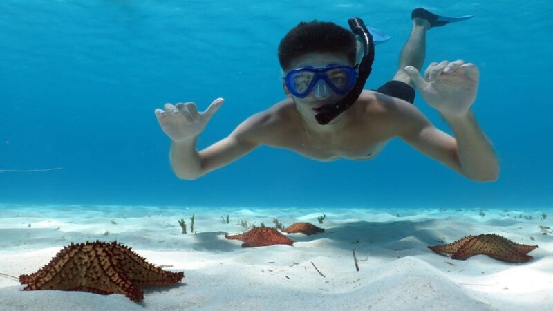 Saona Island Excursion From Punta Cana - Dining Experience