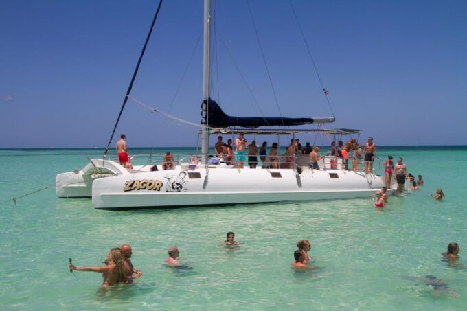 Saona Island Excursion From Punta Cana - Exploring Isla Saona