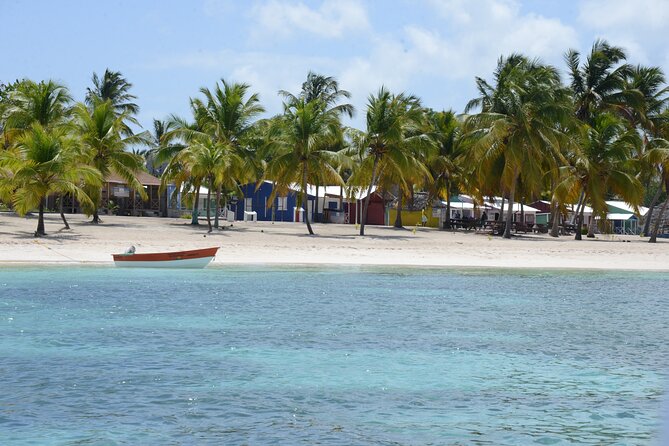 Saona Island for Carnival Cruise Passengers From La Romana Port - Overview and Details