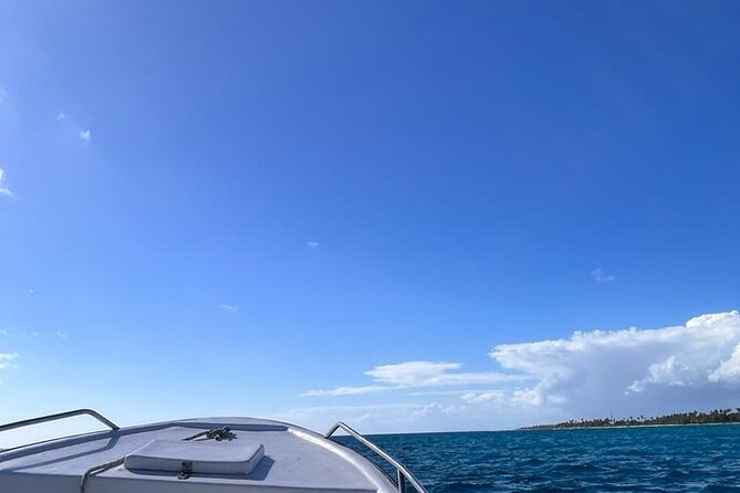 Saona Island for Carnival Cruise Passengers From La Romana Port - Accessibility and Group Size