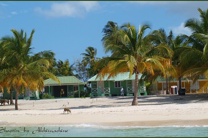 Saona Island for Costa Pacifica Cruise Passengers - Saona Island Highlights