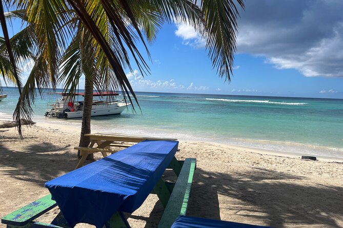 Saona Island for Costa Pacifica Cruise Passengers - Preparing for the Tour