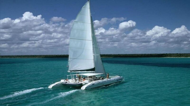 Saona Island From Punta Cana With Transportation Included - Transportation Included