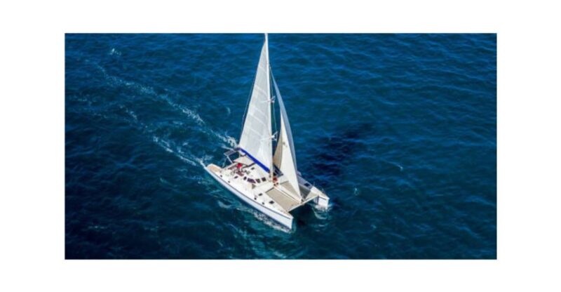Saona Island From Santo Domingo With Catamara and Food Drink - Itinerary and Activities
