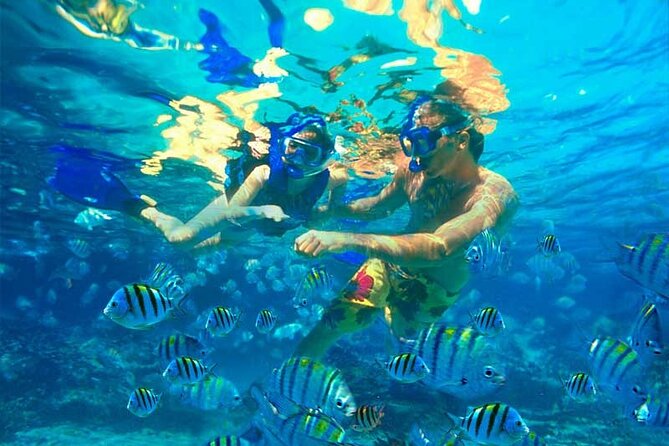 Saona Island Full Day 6 in 1 Tour From Punta Cana - Important Details