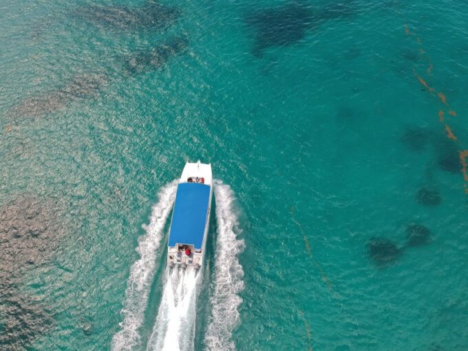 Saona Island: Full-Day Boat Tour With Buffet Lunch & Drinks - Pricing and Booking
