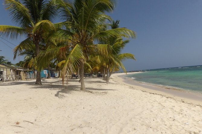 Saona Island Full Day - Customer Reviews and Feedback