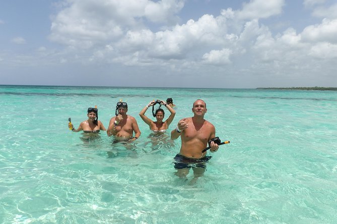 Saona Island Full Day - Transportation and Accessibility