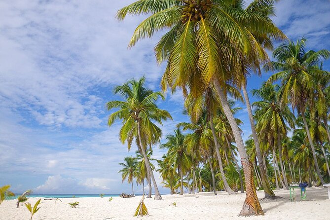 Saona Island Full Day Excursion From Punta Cana + Catamaran Party - Tour Overview and Details