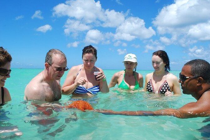 Saona Island Full Day Excursion From Punta Cana + Catamaran Party - Concerns About Safety and Organization