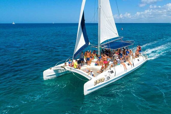 Saona Island Full Day Excursion From Punta Cana - Potential Concerns and Limitations
