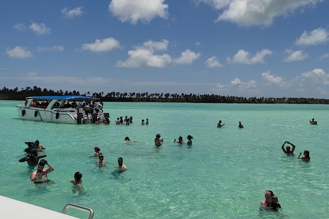 Saona Island Full Day From Punta Cana - Pickup and Transportation