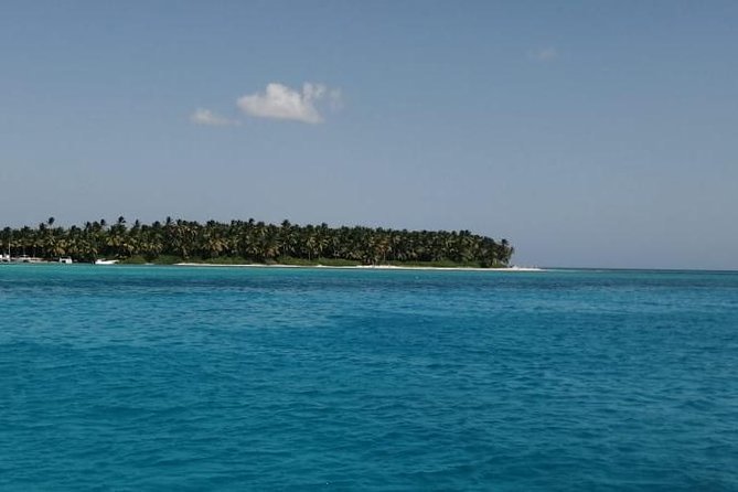 Saona Island Full Day From Punta Cana - Saona Island Experience