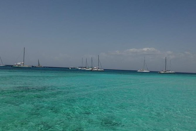 Saona Island Full Day From Punta Cana - Reviews and Feedback