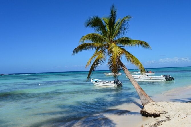 Saona Island Full Day: Natural Pool & Catamaran Cruise With Lunch - Tour Inclusions