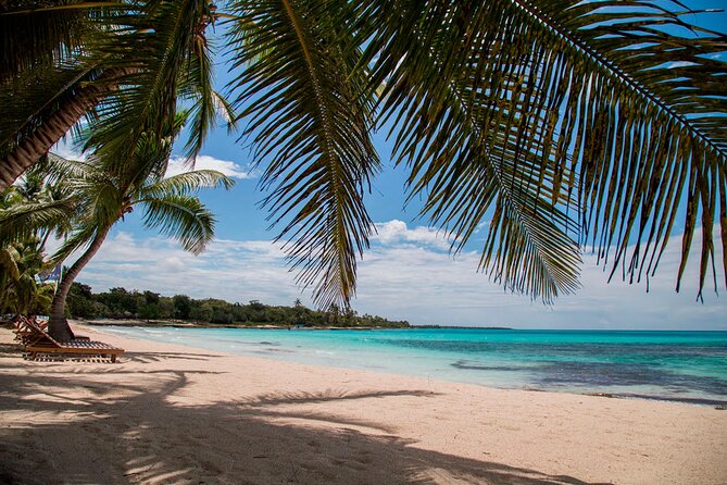 Saona Island Full Day: Natural Pool & Catamaran Cruise With Lunch - Confirmation and Accessibility