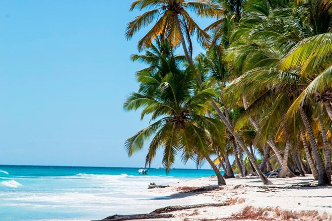 Saona Island Full Day: Natural Pool & Catamaran Cruise With Lunch - Review Highlights