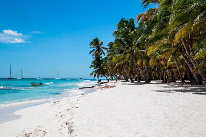 Saona Island Full Day: Natural Pool & Catamaran Cruise With Lunch - Overall Recommendations