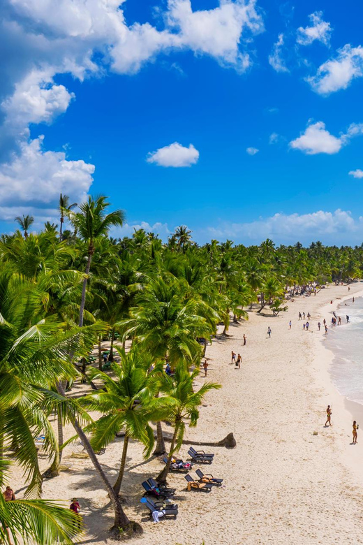 Saona Island - Full Day Open Bar, Lunch and Round Trip! - Key Points