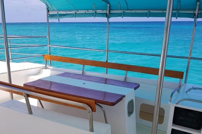 Saona Island: Full-day Sailing Tour - Small Group - Tour Overview