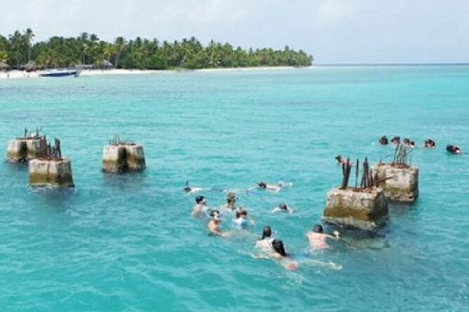 Saona Island: Full-day Sailing Tour - Small Group - Exceptional Reviews