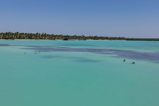 Saona Island: Full-day Sailing Tour - Small Group - Booking and Availability