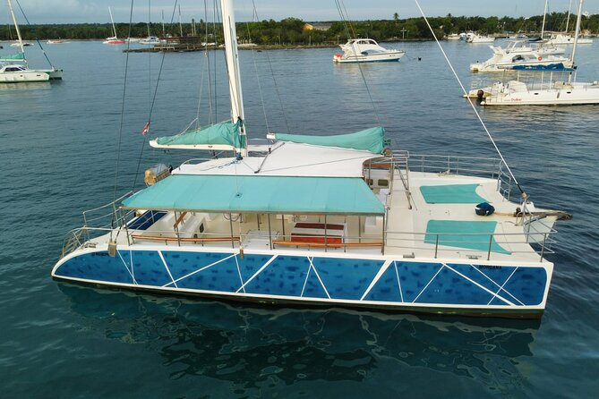 Saona Island: Full-day Sailing Tour - Small Group - Accessibility and Transportation