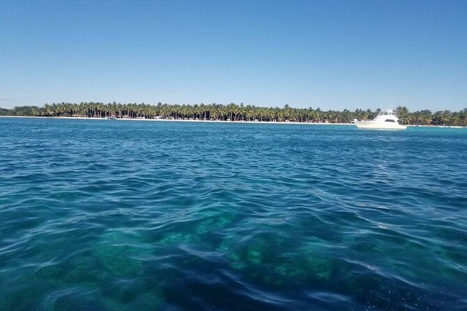 Saona Island Full-Day Tour From Boca Chica - Saona Island Highlights
