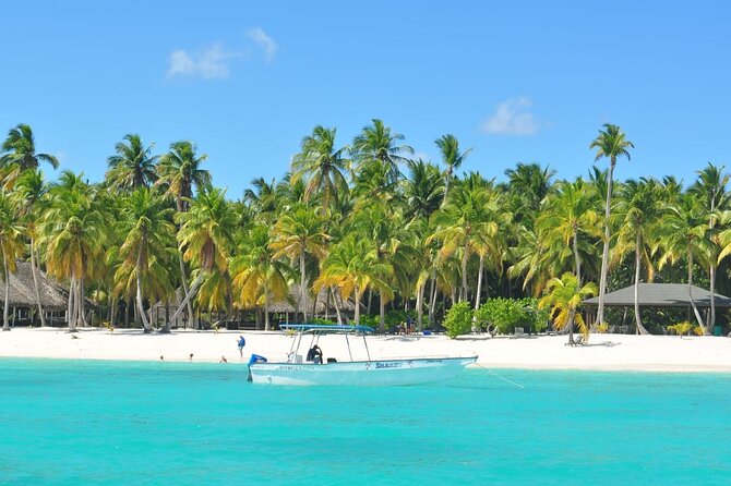 Saona Island Full Day Tour From Las Terrenas - What to Expect