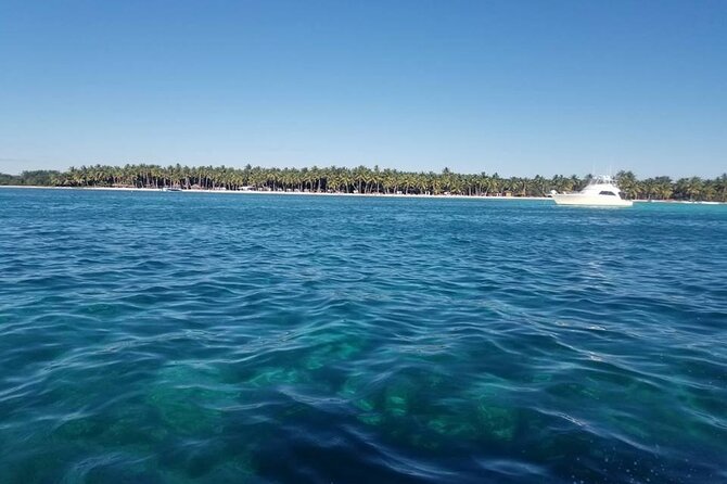 Saona Island Full Day Tour From Las Terrenas - Highlights of the Tour
