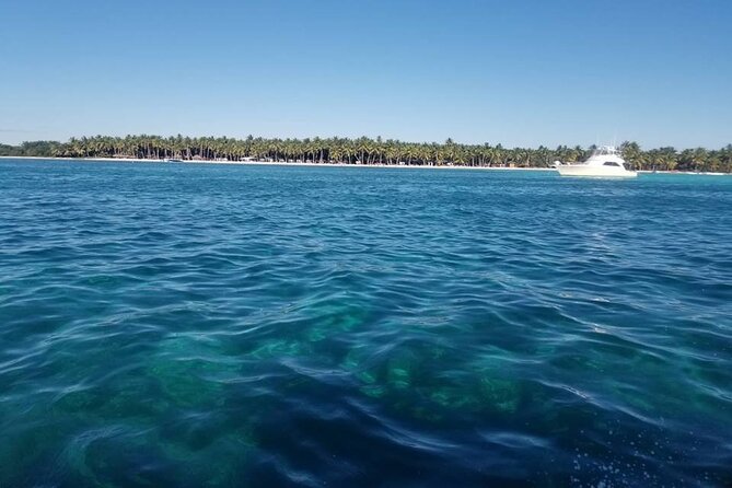 Saona Island Full-Day Tour From Las Terrenas With Lunch - Reviews and Feedback