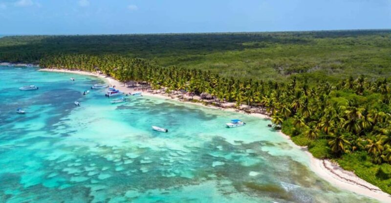 Saona Island Full Day Tour From Samana - Key Points
