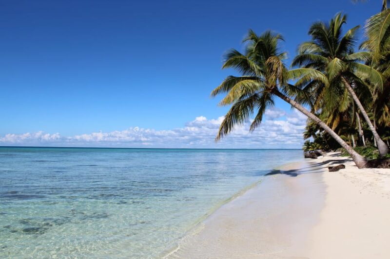 Saona Island Full Day Tour From Samana - Onboard Experience