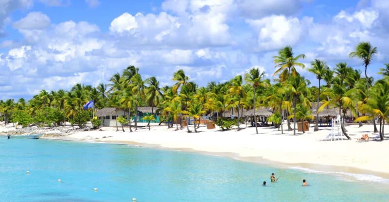 Saona Island Full-Day Tour With Lunch From Punta Cana - Dining Experience