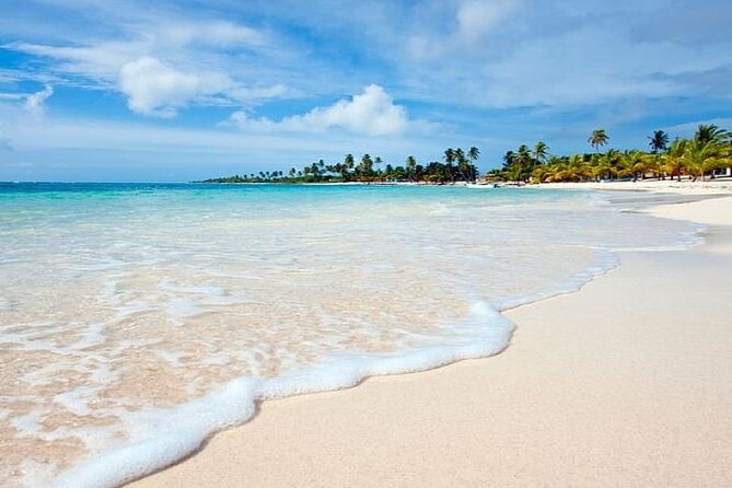Saona Island Full-Day Tour With Lunch From Punta Cana - Guest Feedback and Recommendations