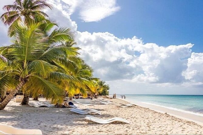 Saona Island Full-Day Tour With Lunch From Punta Cana - Pricing and Booking