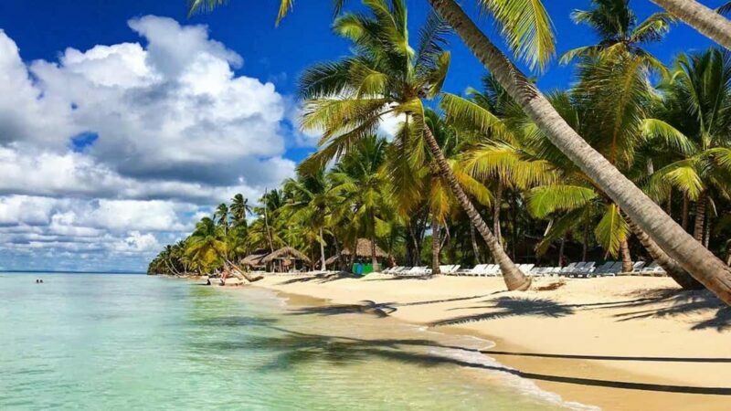 Saona Island: Full-Day Tour with Snorkeling and Lunch - Practical Tips for a Smooth Day