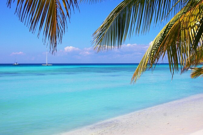 Saona Island Full Day Tours - Catamaran Party From Santo Domingo - Pricing and Booking