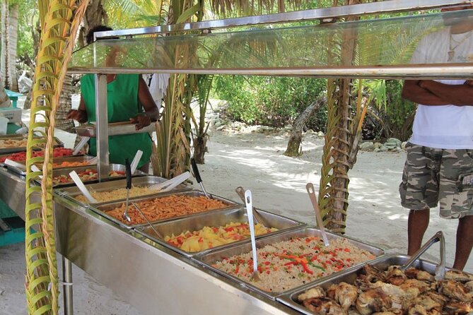 Saona Island Full Day Tours - Catamaran Party From Santo Domingo - Activities and Highlights
