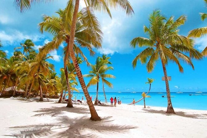 Saona Island or Village of the Gods, the Perfection of Nature - Navigating the Meeting and Pickup