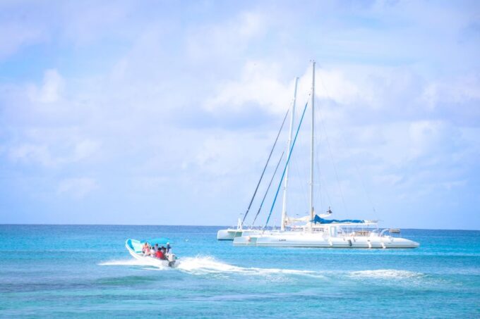 Saona Island Paradise From Punta Cana - What to Expect