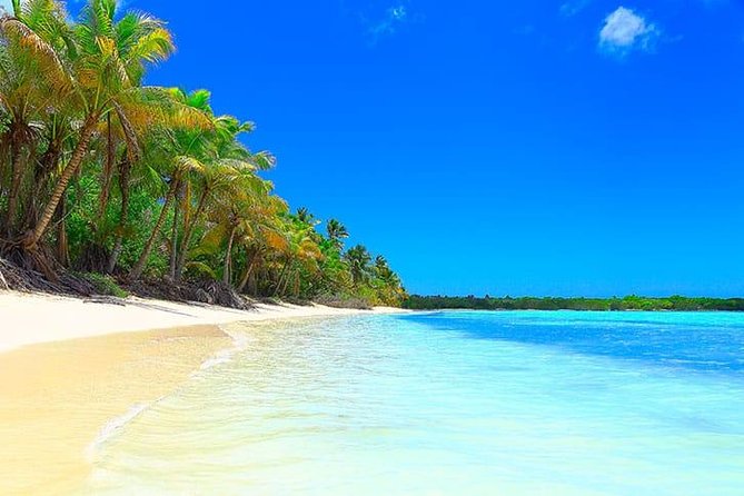 Saona Island Paradise Full Day - All Inclusive. From Punta Cana & Bayahibe - Questions About Your Stay