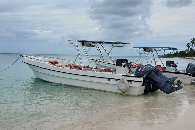 Saona Island Premium Discovery Tour From Punta Cana or Bayahíbe - Overview of Saona Island Tour