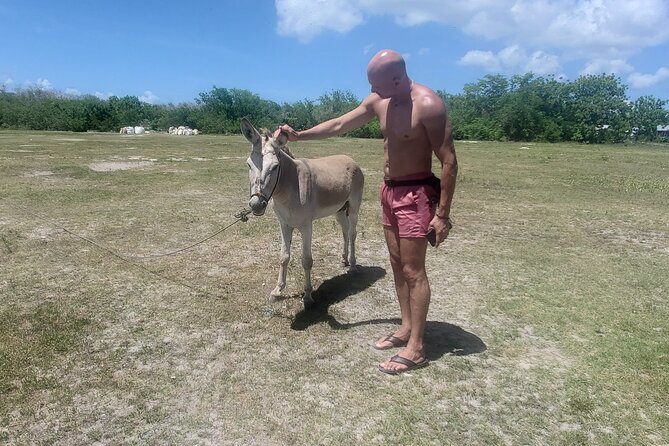 Saona Island Premium Discovery Tour From Punta Cana or Bayahíbe - Traveler Feedback and Ratings